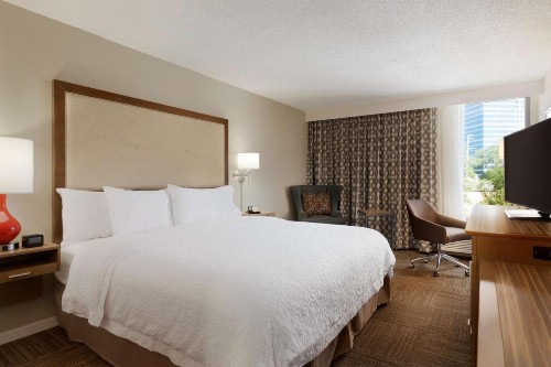 Hampton Inn Atlanta-Buckhead - image 7