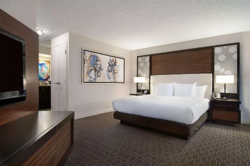 Hilton Atlanta Airport - image 48