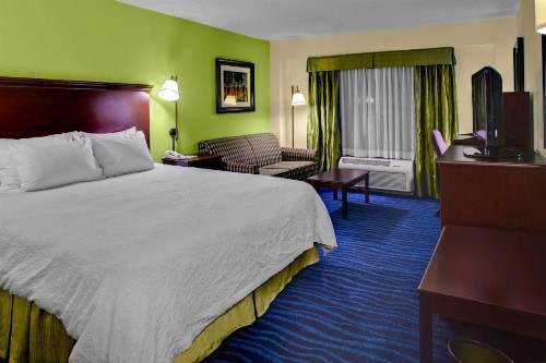 Hampton Inn Atlanta Perimeter Center - image 27