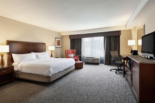 Hilton Garden Inn Atlanta Downtown - image 29