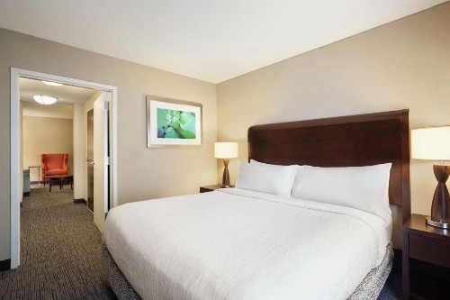 Hilton Garden Inn Atlanta Downtown - image 30