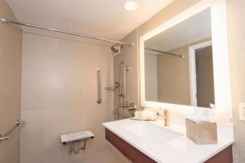 DoubleTree Suites by Hilton Atlanta-Galleria - image 46