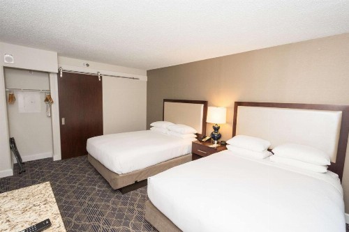 DoubleTree Suites by Hilton Atlanta-Galleria - image 48