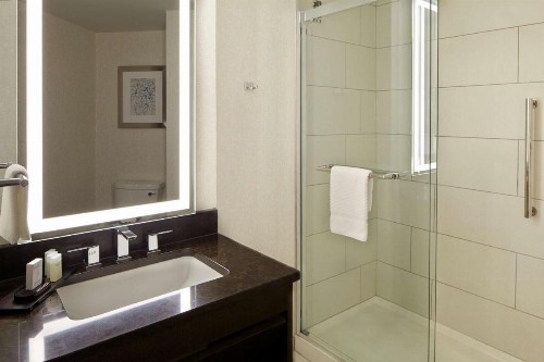 Embassy Suites Atlanta - Galleria - image 26
