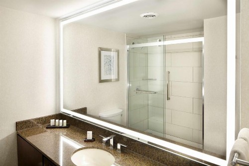 Embassy Suites Atlanta - Galleria - image 3