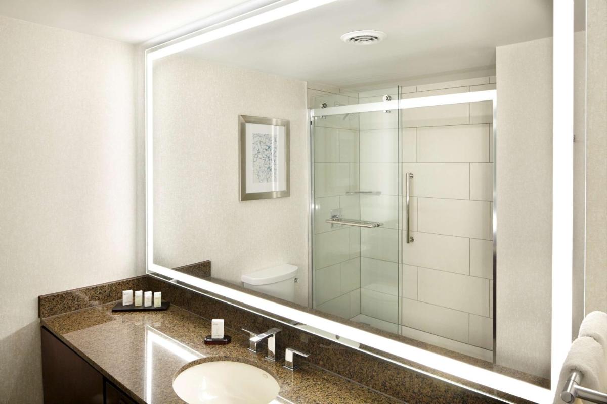 Embassy Suites Atlanta - Galleria - image 3