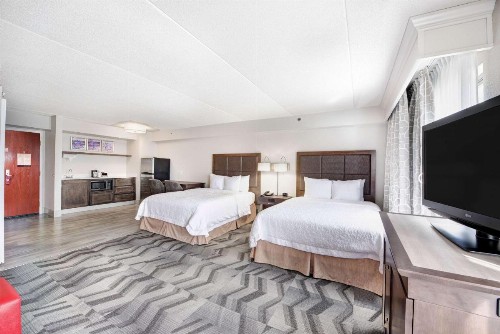 Hampton Inn & Suites Atlanta-Galleria - image 37