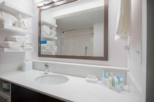 Hampton Inn & Suites Atlanta-Galleria - image 44