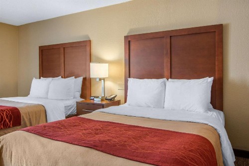 Comfort Inn Sandy Springs – Perimeter - image 12