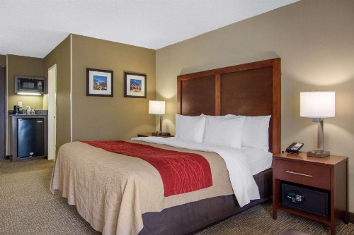Comfort Inn Sandy Springs – Perimeter - image 27