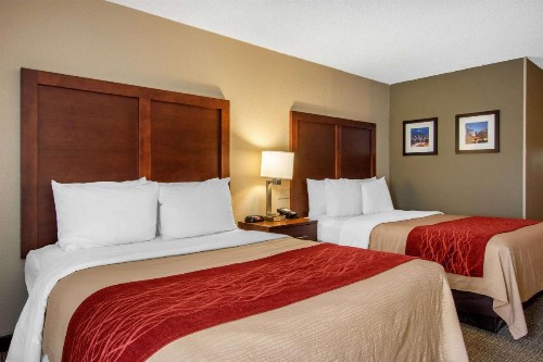 Comfort Inn Sandy Springs – Perimeter - image 6