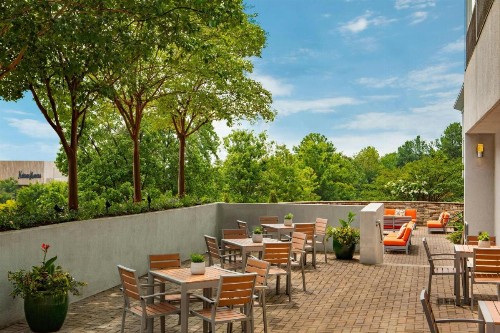 Hotel Colee Atlanta Buckhead Autograph Collection - image 12