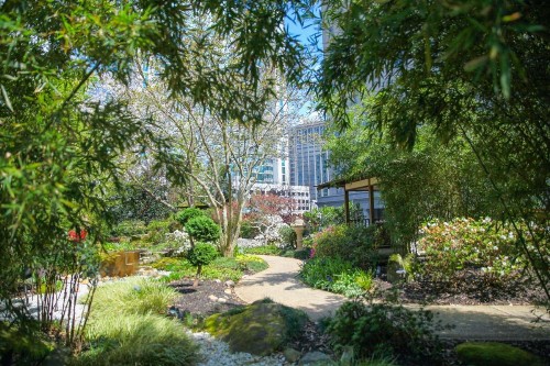 Grand Hyatt Atlanta in Buckhead - image 34