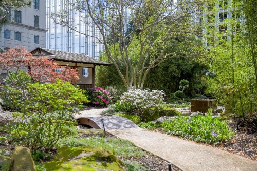 Grand Hyatt Atlanta in Buckhead - image 6