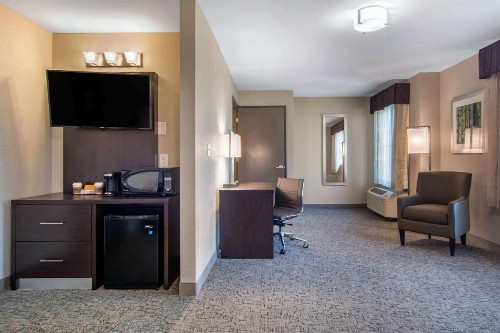 Clarion Inn & Suites Atlanta Downtown - image 16