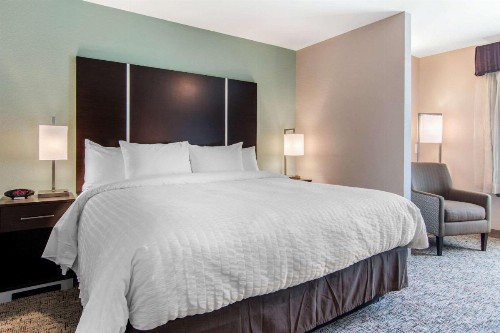 Clarion Inn & Suites Atlanta Downtown - image 18