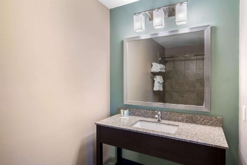 Clarion Inn & Suites Atlanta Downtown - image 22