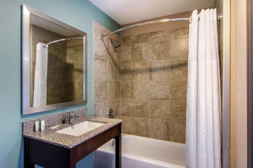 Clarion Inn & Suites Atlanta Downtown - image 24
