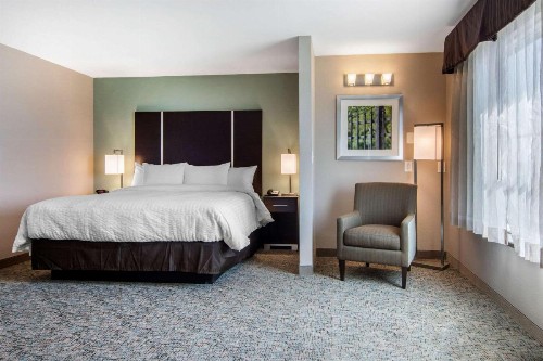 Clarion Inn & Suites Atlanta Downtown - image 28