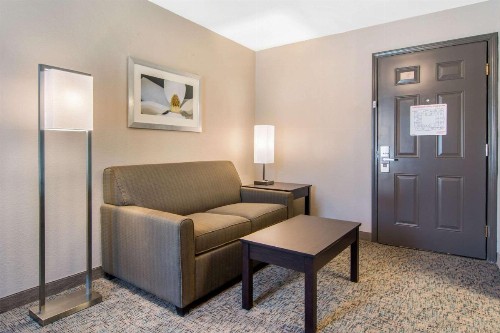 Clarion Inn & Suites Atlanta Downtown - image 34