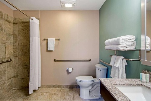 Clarion Inn & Suites Atlanta Downtown - image 6