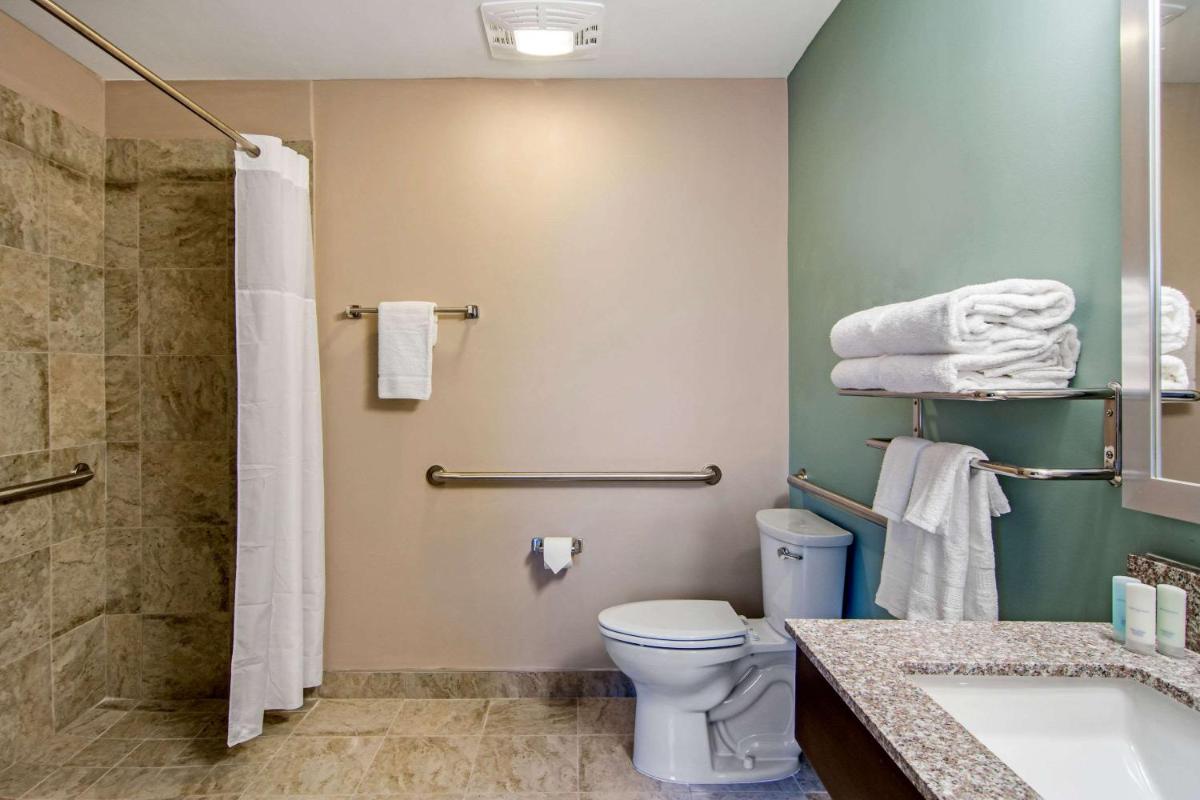 Clarion Inn & Suites Atlanta Downtown - image 6