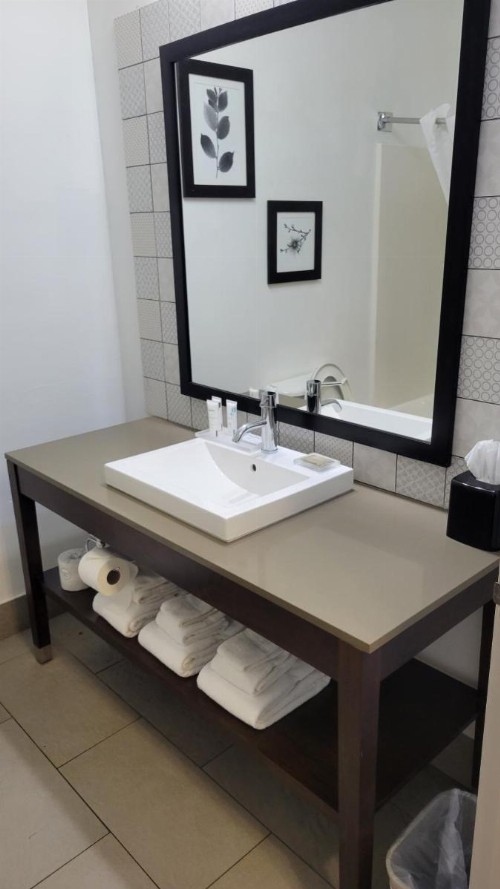 Holiday Inn Hotel Atlanta-Northlake an IHG Hotel - image 2
