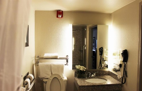 Holiday Inn Hotel Atlanta-Northlake an IHG Hotel - image 26