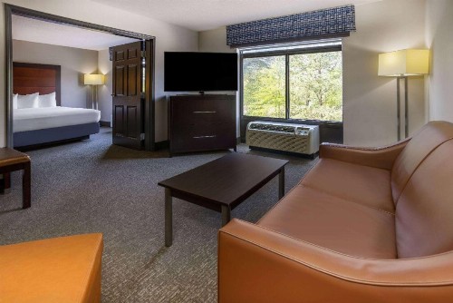 Wingate by Wyndham Atlanta Galleria/ Ballpark - image 21