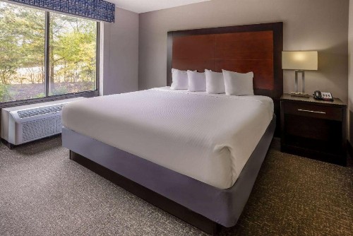 Wingate by Wyndham Atlanta Galleria/ Ballpark - image 22