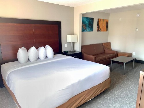 Wingate by Wyndham Atlanta Galleria/ Ballpark - image 31