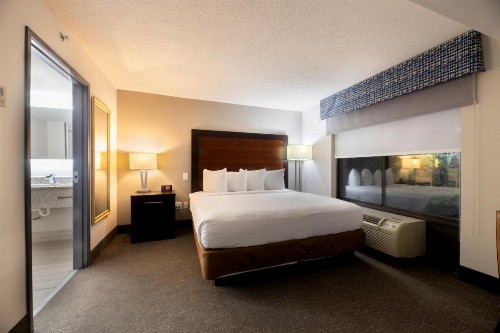 Wingate by Wyndham Atlanta Galleria/ Ballpark - image 35