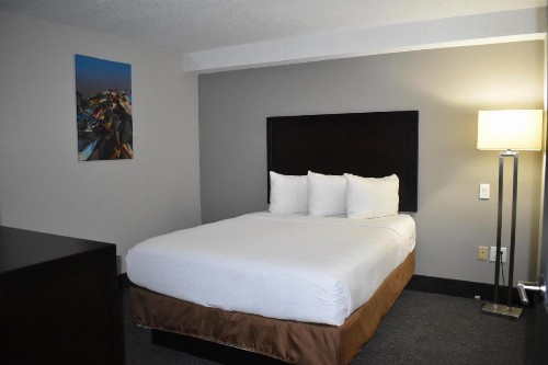 Wingate by Wyndham Atlanta Galleria/ Ballpark - image 49