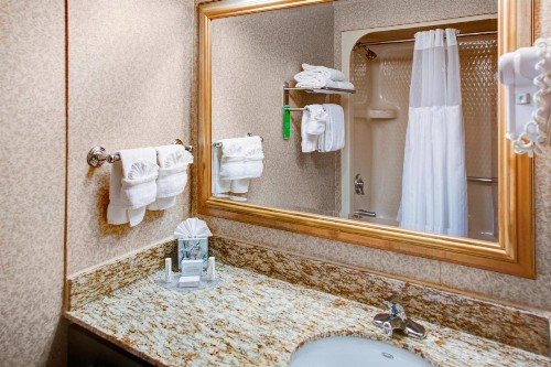 TownePlace Suites Atlanta Buckhead - image 14