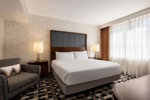 The American Hotel Atlanta Downtown-a Doubletree by Hilton - image 32