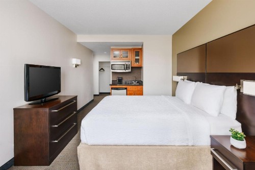 Residence Inn Atlanta Downtown - image 28