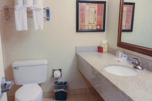 Ramada Plaza by Wyndham Atlanta Airport - image 23