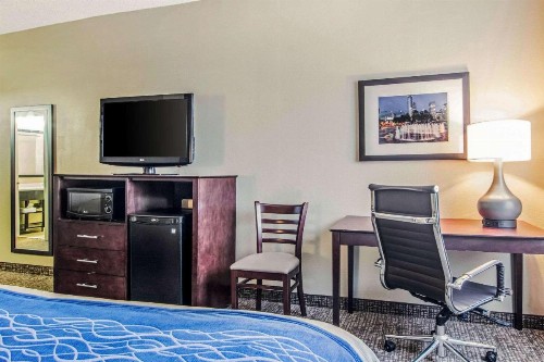 Comfort Inn Downtown Atlanta - image 10