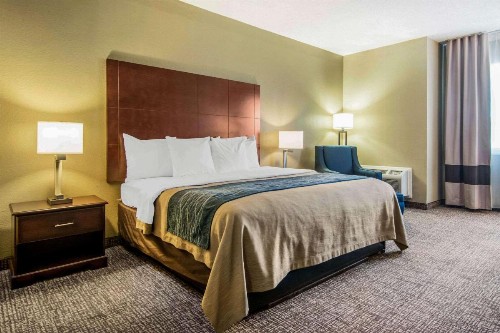 Comfort Inn Downtown Atlanta - image 11