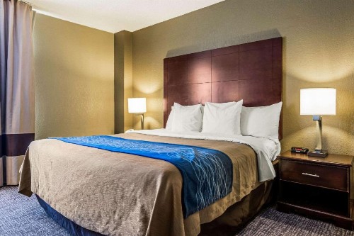 Comfort Inn Downtown Atlanta - image 15