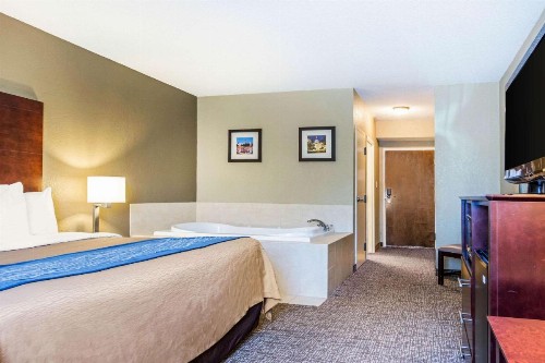 Comfort Inn Downtown Atlanta - image 17