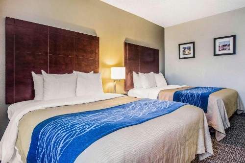 Comfort Inn Downtown Atlanta - image 8