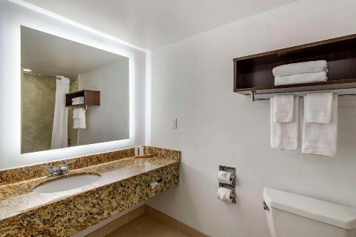 Country Inn & Suites by Radisson Atlanta Galleria Ballpark GA - image 13