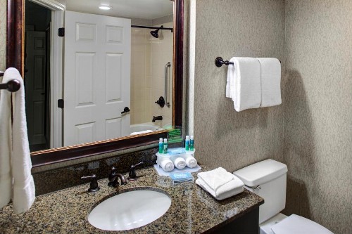 Holiday Inn Express Hotel & Suites Atlanta Buckhead an IHG Hotel - image 14