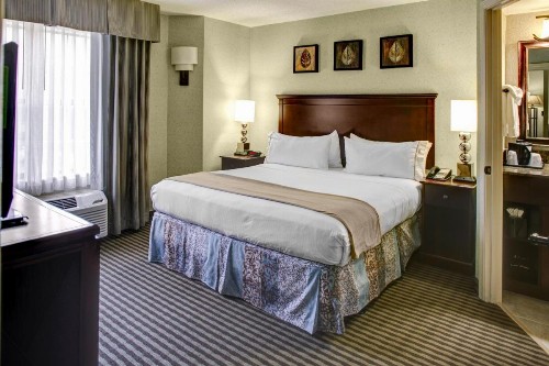 Holiday Inn Express Hotel & Suites Atlanta Buckhead an IHG Hotel - image 15