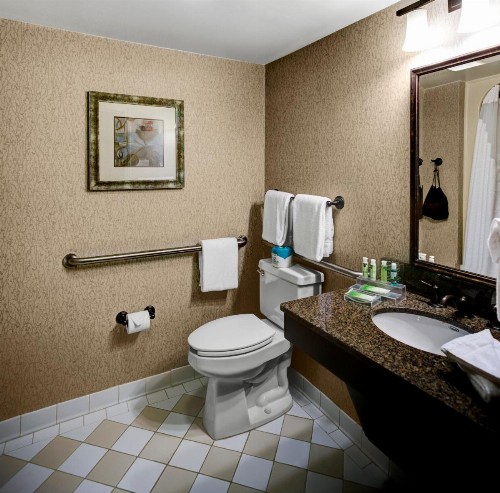 Holiday Inn Express Hotel & Suites Atlanta Buckhead an IHG Hotel - image 19