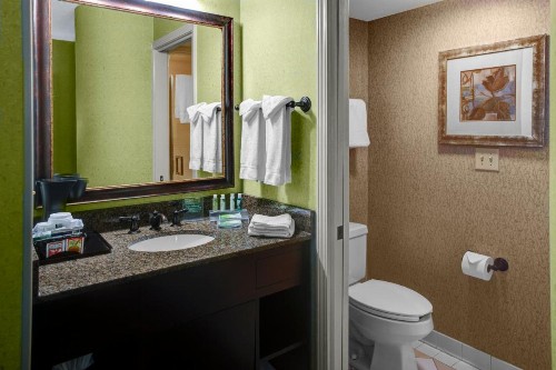 Holiday Inn Express Hotel & Suites Atlanta Buckhead an IHG Hotel - image 39