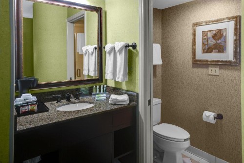 Holiday Inn Express Hotel & Suites Atlanta Buckhead an IHG Hotel - image 41