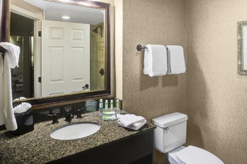 Holiday Inn Express Hotel & Suites Atlanta Buckhead an IHG Hotel - image 42