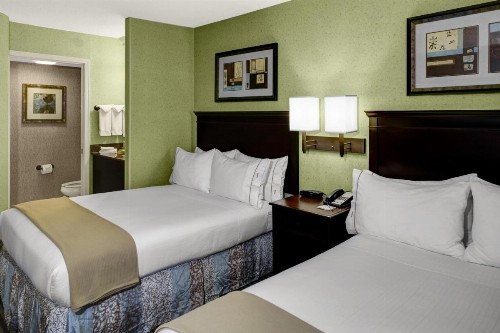 Holiday Inn Express Hotel & Suites Atlanta Buckhead an IHG Hotel - image 43